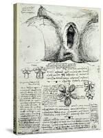 The Female Sexual Organs, Facsimile Copy-Leonardo da Vinci-Stretched Canvas