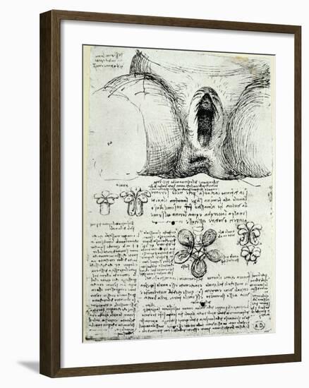 The Female Sexual Organs, Facsimile Copy-Leonardo da Vinci-Framed Giclee Print