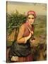 The Fern Gatherer-Charles Sillem Lidderdale-Stretched Canvas