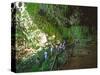 The Fern Grotto, Kauai, Hawaii, USA-Charles Sleicher-Stretched Canvas