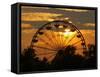 The Ferris Wheel at the Ingham County Fair is Silhouetted against the Setting Sun-null-Framed Stretched Canvas