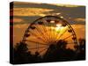The Ferris Wheel at the Ingham County Fair is Silhouetted against the Setting Sun-null-Stretched Canvas