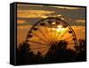 The Ferris Wheel at the Ingham County Fair is Silhouetted against the Setting Sun-null-Framed Stretched Canvas