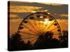 The Ferris Wheel at the Ingham County Fair is Silhouetted against the Setting Sun-null-Stretched Canvas