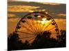 The Ferris Wheel at the Ingham County Fair is Silhouetted against the Setting Sun-null-Mounted Photographic Print