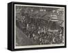 The Festival of Mahamakam, Religious Procession Through the Streets of Kombakonum-null-Framed Stretched Canvas
