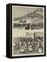 The Fetes at Pompeii-null-Framed Stretched Canvas