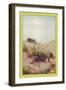 The Field Cricket-Edward Detmold-Framed Art Print