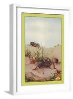 The Field Cricket-Edward Detmold-Framed Art Print