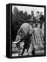 The Field Marshal Georgi Joukov, Soviet Defence Minister in New Delhi in India on an Elephant, 1957-null-Framed Stretched Canvas