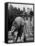 The Field Marshal Georgi Joukov, Soviet Defence Minister in New Delhi in India on an Elephant, 1957-null-Framed Stretched Canvas