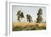 The Field of Wheat, 1878-Ivan Ivanovitch Shishkin-Framed Giclee Print