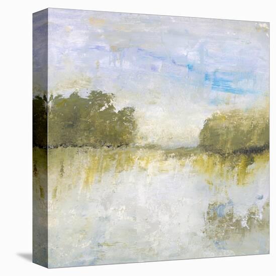 The Fields I Call Home-Lisa Mann Fine Art-Stretched Canvas