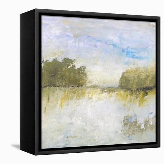 The Fields I Call Home-Lisa Mann Fine Art-Framed Stretched Canvas