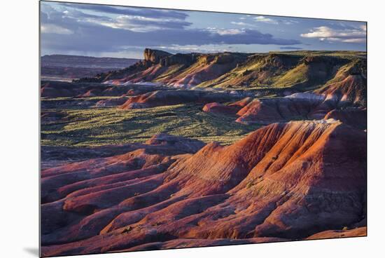 The Fiery Red Painted Desert from Lacey Point in Petrified Forest National Park, Arizona-Jerry Ginsberg-Mounted Premium Photographic Print