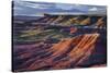 The Fiery Red Painted Desert from Lacey Point in Petrified Forest National Park, Arizona-Jerry Ginsberg-Stretched Canvas