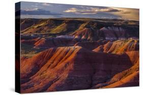 The Fiery Red Painted Desert from Lacey Point in Petrified Forest National Park, Arizona-Jerry Ginsberg-Stretched Canvas