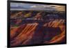 The Fiery Red Painted Desert from Lacey Point in Petrified Forest National Park, Arizona-Jerry Ginsberg-Framed Photographic Print