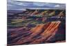 The Fiery Red Painted Desert from Lacey Point in Petrified Forest National Park, Arizona-Jerry Ginsberg-Mounted Photographic Print