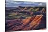 The Fiery Red Painted Desert from Lacey Point in Petrified Forest National Park, Arizona-Jerry Ginsberg-Stretched Canvas