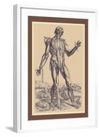 The Fifth Plate of the Muscles-Andreas Vesalius-Framed Art Print