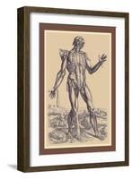 The Fifth Plate of the Muscles-Andreas Vesalius-Framed Art Print