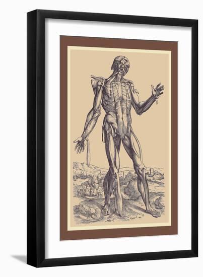 The Fifth Plate of the Muscles-Andreas Vesalius-Framed Art Print