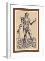 The Fifth Plate of the Muscles-Andreas Vesalius-Framed Art Print