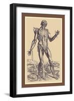 The Fifth Plate of the Muscles-Andreas Vesalius-Framed Art Print