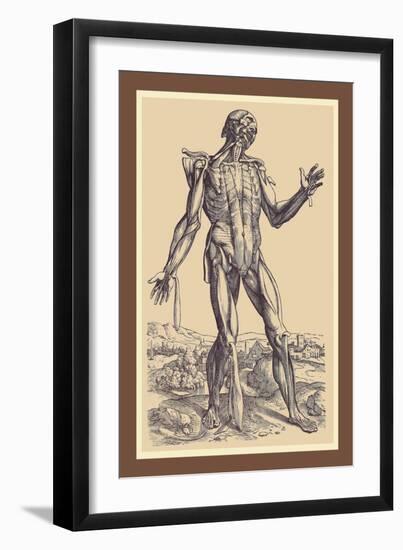 The Fifth Plate of the Muscles-Andreas Vesalius-Framed Art Print