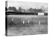 The Fifth Test Match, England Vs. Australia, 1899-null-Stretched Canvas