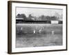 The Fifth Test Match, England Vs. Australia, 1899-null-Framed Photographic Print