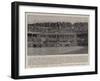 The Fight Between a Lion and a Bull at Roubaix, North France-null-Framed Giclee Print