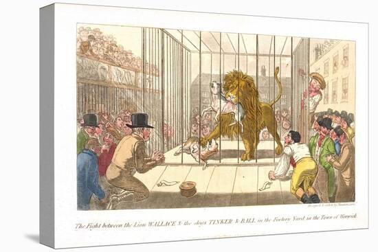 The Fight Between the Lion Wallace and the Dogs Tinker and Ball in the Factory Yard-Theodore Lane-Stretched Canvas