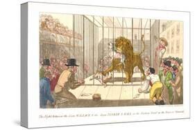 The Fight Between the Lion Wallace and the Dogs Tinker and Ball in the Factory Yard-Theodore Lane-Stretched Canvas