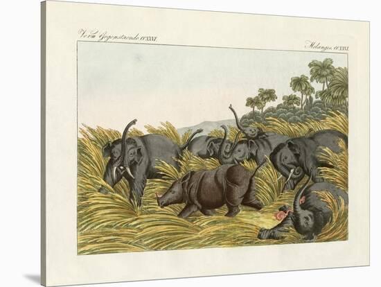 The Fight of the Rhinoceros with the Elefants-null-Stretched Canvas