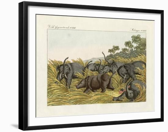 The Fight of the Rhinoceros with the Elefants-null-Framed Giclee Print