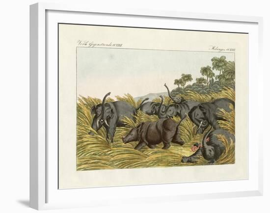 The Fight of the Rhinoceros with the Elefants-null-Framed Giclee Print