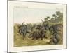 The Fight of the Rhinoceros with the Elefants-null-Mounted Giclee Print