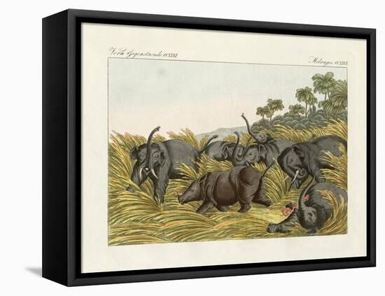 The Fight of the Rhinoceros with the Elefants-null-Framed Stretched Canvas