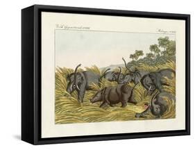 The Fight of the Rhinoceros with the Elefants-null-Framed Stretched Canvas