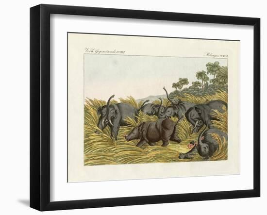 The Fight of the Rhinoceros with the Elefants-null-Framed Giclee Print