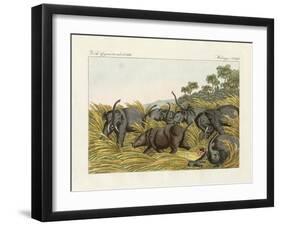 The Fight of the Rhinoceros with the Elefants-null-Framed Giclee Print