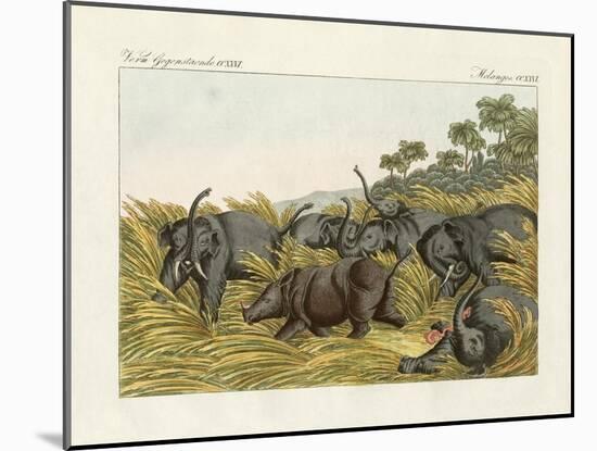 The Fight of the Rhinoceros with the Elefants-null-Mounted Giclee Print