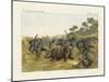 The Fight of the Rhinoceros with the Elefants-null-Mounted Giclee Print