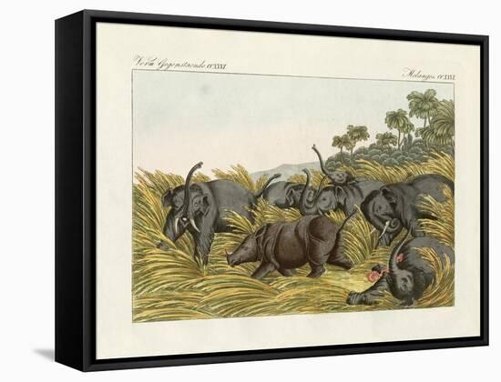 The Fight of the Rhinoceros with the Elefants-null-Framed Stretched Canvas