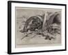 The Fighting in Manila, after the Engagement at Calumpit-Charles Edwin Fripp-Framed Giclee Print