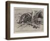 The Fighting in Manila, after the Engagement at Calumpit-Charles Edwin Fripp-Framed Giclee Print