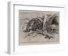 The Fighting in Manila, after the Engagement at Calumpit-Charles Edwin Fripp-Framed Giclee Print