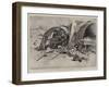 The Fighting in Manila, after the Engagement at Calumpit-Charles Edwin Fripp-Framed Giclee Print